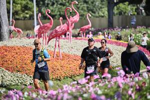 BIB: 
                            <button type="button" onclick="openModal(27793348)" class="btn btn-primary btn-sm float-right btn-popup" data-toggle="modal" data-target=".modal-high-quality">
                        <i class="fas fa-shopping-cart"></i> Add to Cart
                    </button>
                                            <button type="button" onclick="isThisMe(27793348, true)" class="btn btn-success btn-sm float-right btn-popup btn-isme hidden" data-toggle="tooltip" data-placement="bottom" title="นี่คือรูปของคุณใช่ไหม คลิกที่นี่เพื่อเอาเข้าอัลบั้ม">
                        <i class="fas fa-plus"></i> Add to album
                    </button>
                    <button type="button" onclick="isThisMe(27793348, false)" class="btn btn-warning btn-sm float-right btn-popup btn-isnotme hidden">
                        <i class="fas fa-ban"></i> Remove from album
                    </button>